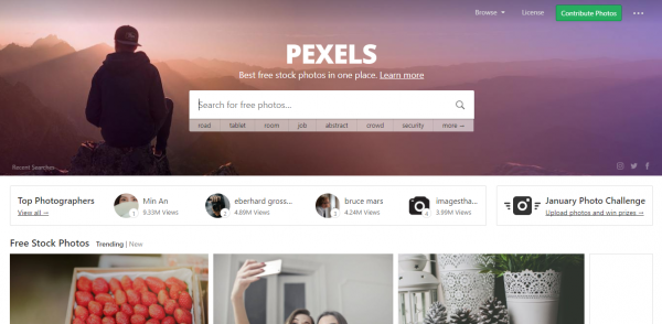 Content creation tool Pexels